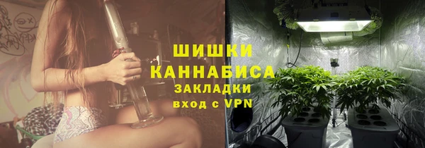 ГАЛЛЮЦИНОГЕННЫЕ ГРИБЫ Белокуриха