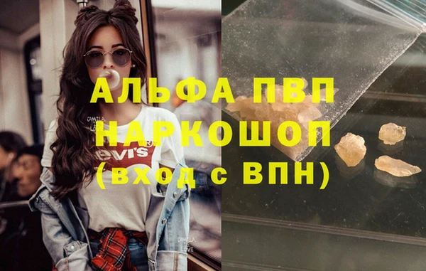 ГАЛЛЮЦИНОГЕННЫЕ ГРИБЫ Белокуриха