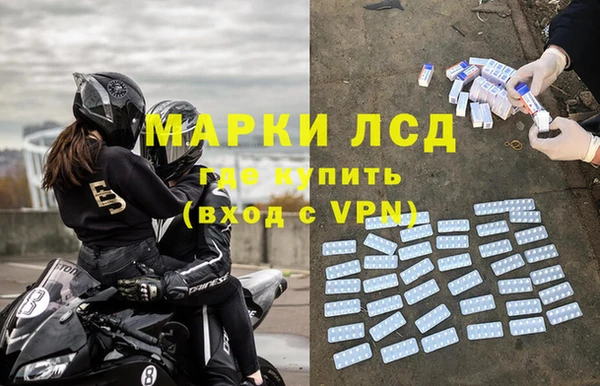 ГАЛЛЮЦИНОГЕННЫЕ ГРИБЫ Белокуриха